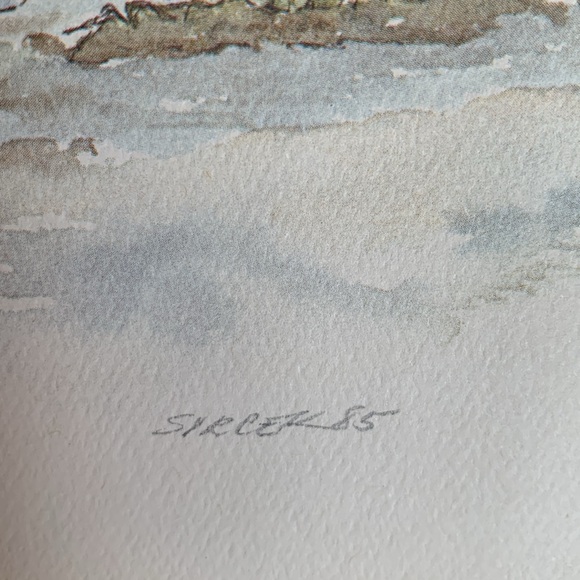 Duck and goose print. 73/215. Original with double mat. Lovely watercolour copy - Picture 5 of 5